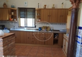 Chalet independiente con terreno en venta en Fuente Palmera ref: TR334926 foto