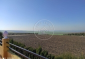 Chalet independiente con terreno en venta en Fuente Palmera ref: TR334926 foto