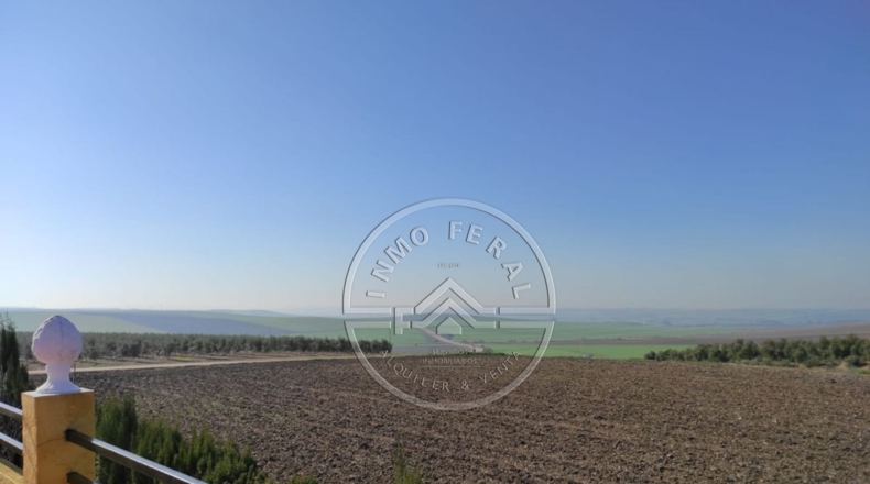 Córdoba - Фуэнте-Пальмера - 700m2