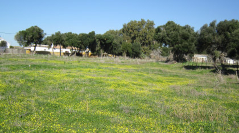 Cádiz - Barbate - 6000m2