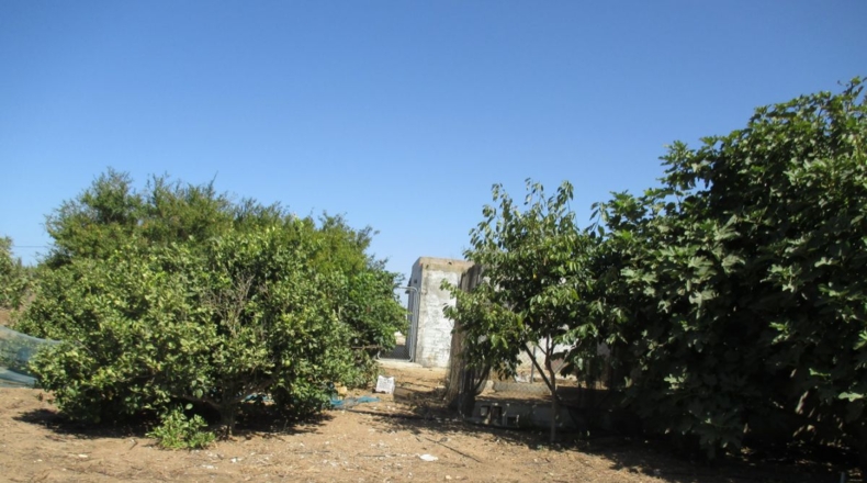 Cádiz - Conil de la Frontera - 3800m2