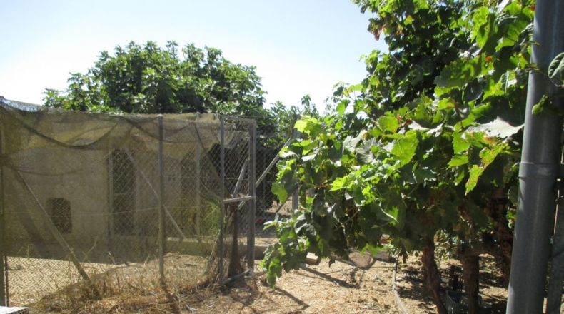 Cádiz - Conil de la Frontera - 3800m2