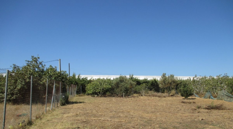 Cádiz - Conil de la Frontera - 3800m2