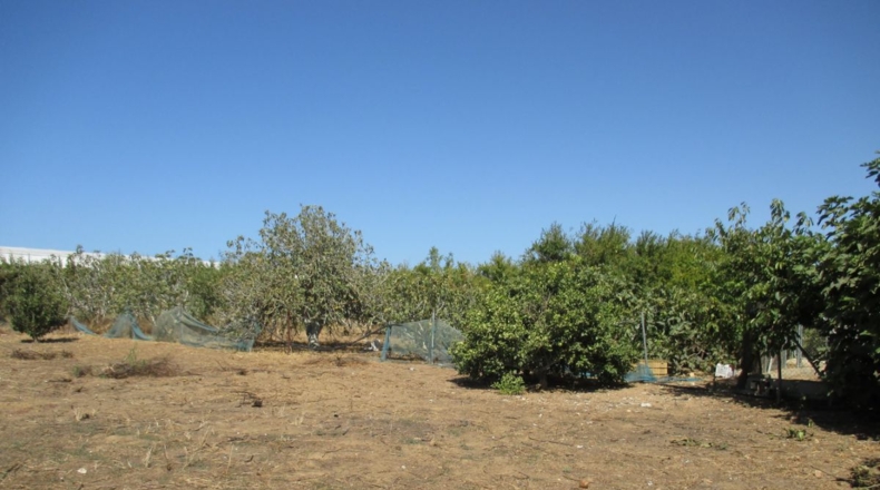 Cádiz - Conil de la Frontera - 3800m2
