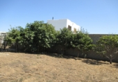 Terreny no urbanitzable en venda a Conil de la Frontera ref.: TR53758 foto