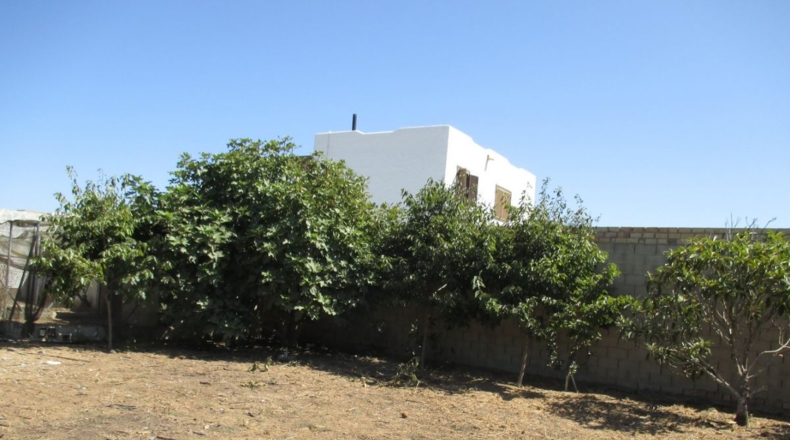 Cádiz - Conil de la Frontera - 3800m2