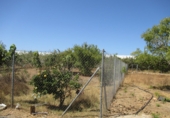 Terreny no urbanitzable en venda a Conil de la Frontera ref.: TR53758 foto