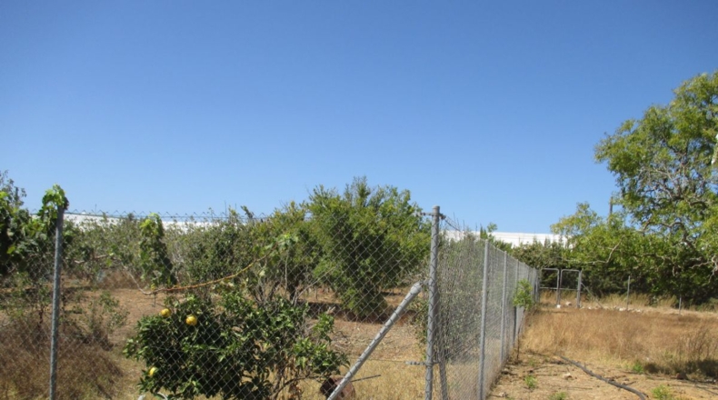 Cádiz - Conil de la Frontera - 3800m2