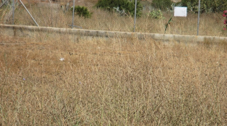Cádiz - Conil de la Frontera - 3800m2