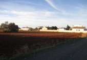 Terreny no urbanitzable en venda a Conil de la Frontera ref.: TR53757 foto