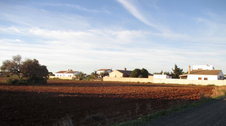 Cádiz - Conil de la Frontera - 20965m2