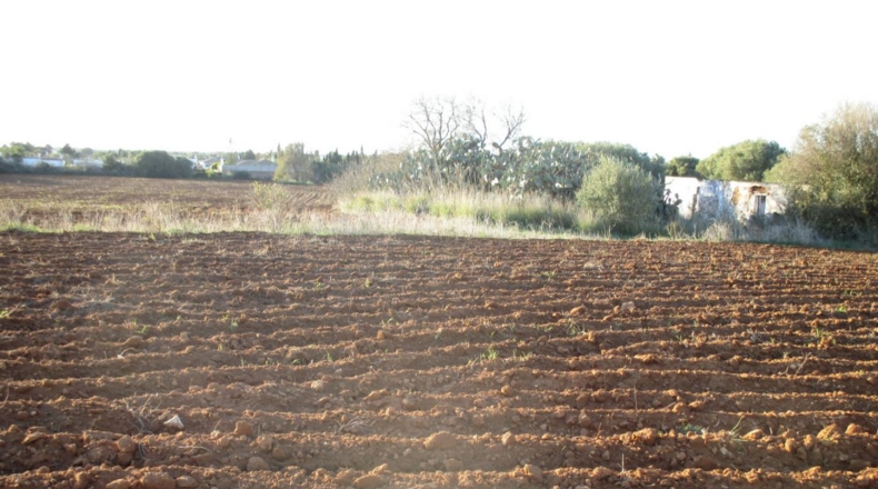 Cádiz - Conil de la Frontera - 20965m2