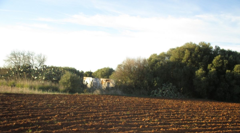 Cádiz - Conil de la Frontera - 20965m2