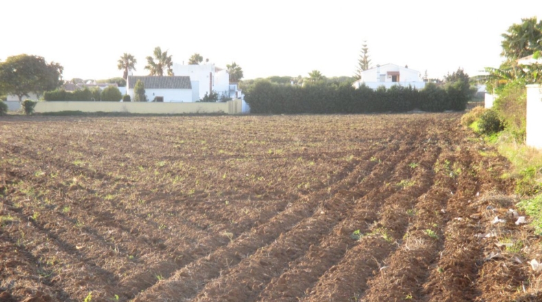 Cádiz - Conil de la Frontera - 20965m2