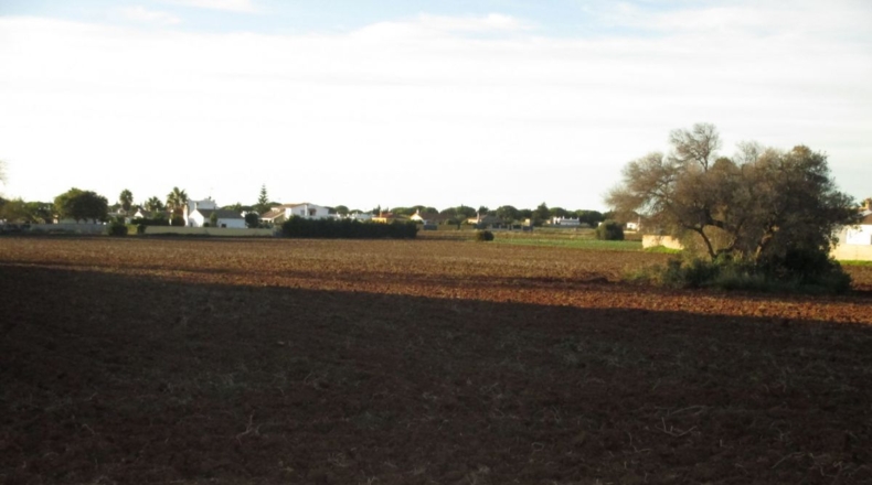 Cádiz - Conil de la Frontera - 20965m2