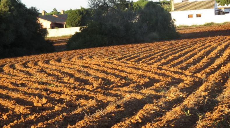 Cádiz - Conil de la Frontera - 20965m2