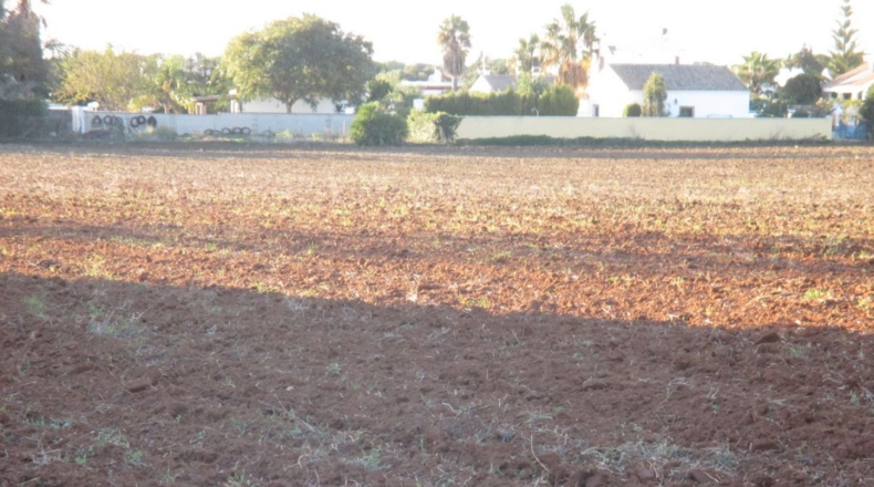 Cádiz - Conil de la Frontera - 20965m2