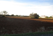 Terreny no urbanitzable en venda a Conil de la Frontera ref.: TR53757 foto