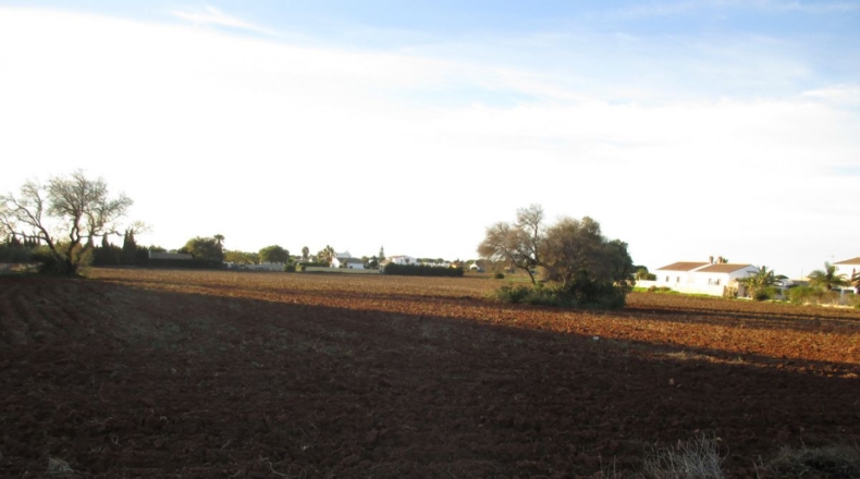 Cádiz - Conil de la Frontera - 20965m2