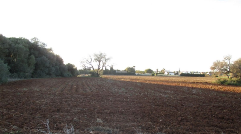 Cádiz - Conil de la Frontera - 20965m2