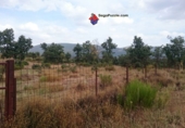 Non-developable land for sale in Pelayos del Arroyo ref: TR53692 photo