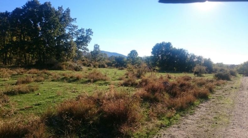 Segovia - Sotosalbos - 3650m2