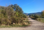 Terreno no urbanizable en venta en Sotosalbos ref: TR53691 foto