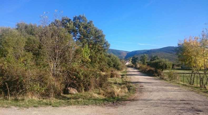 Segovia - Sotosalbos - 3650m2