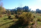 Terreno no urbanizable en venta en Sotosalbos ref: TR53691 foto