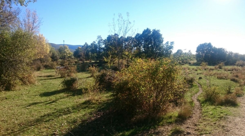 Segovia - Sotosalbos - 3650m2