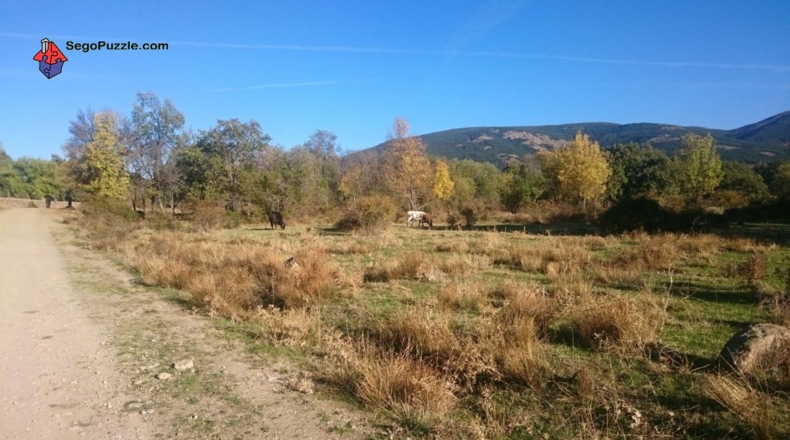 Segovia - Sotosalbos - 3650m2