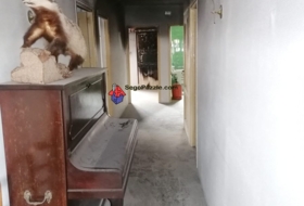 Foto 17