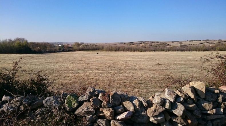 Segovia - Cabanillas del Monte - 12080m2