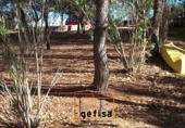 Casa de camp amb terreny en venda a Valdepeñas ref.: TR13722 foto