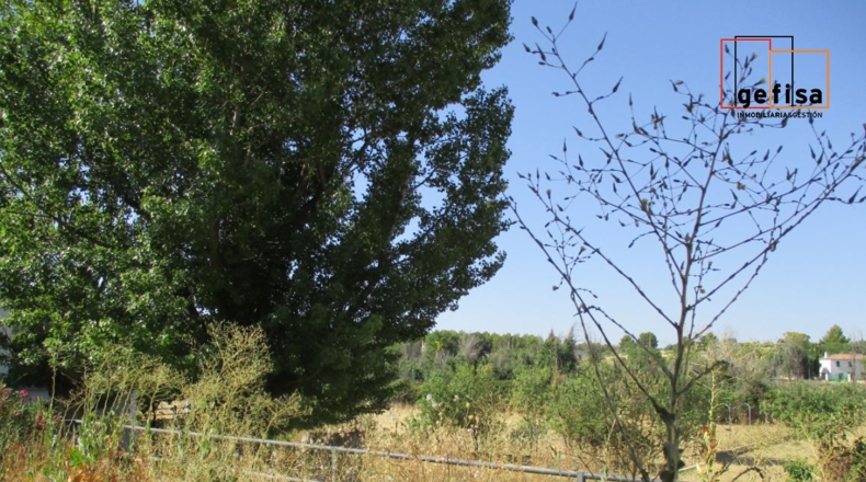 Ciudad Real - Valdepeñas - 60000m2