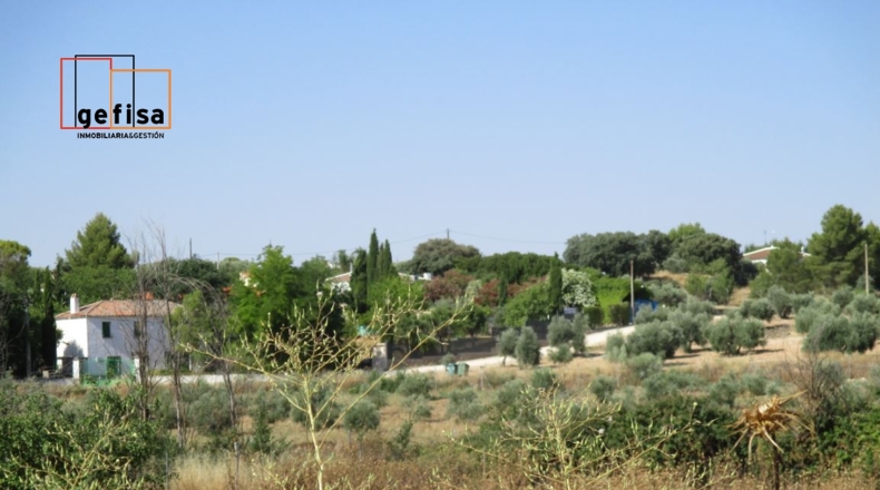 Ciudad Real - Valdepeñas - 60000m2