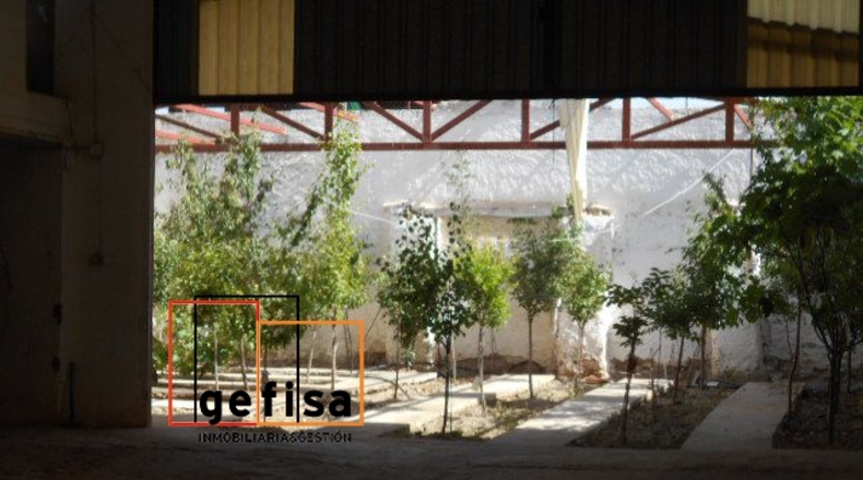 Ciudad Real - Valdepeñas - 500m2