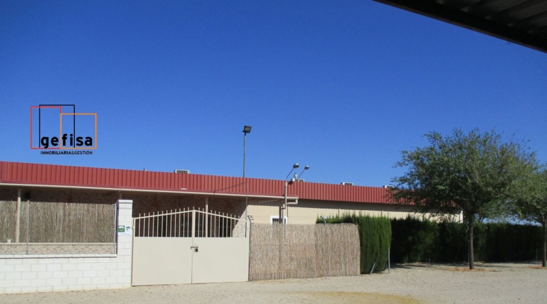 Ciudad Real - Valdepeñas - 19000m2