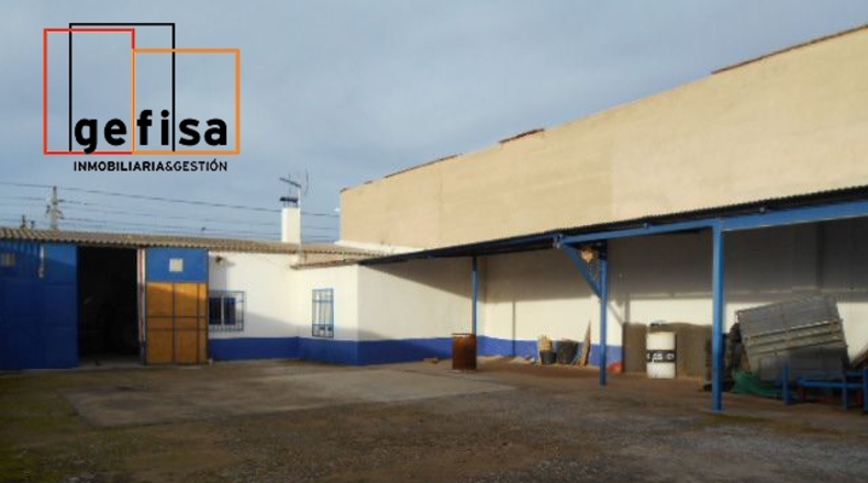 Ciudad Real - Valdepeñas - 580m2