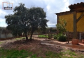 Rural estate for sale in Valdepeñas ref: TR62886 photo