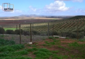 Rural estate for sale in Valdepeñas ref: TR62886 photo