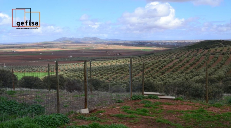 Ciudad Real - Valdepeñas - 500000m2