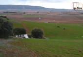Rural estate for sale in Valdepeñas ref: TR62886 photo