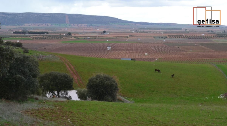 Ciudad Real - Valdepeñas - 500000m2