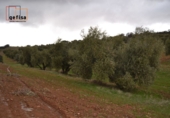 Rural estate for sale in Valdepeñas ref: TR62886 photo