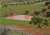 Rural estate for sale in Valdepeñas ref: TR62886 photo
