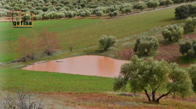 Ciudad Real - Valdepeñas - 500000m2