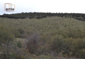 Rural estate for sale in Valdepeñas ref: TR62886 photo