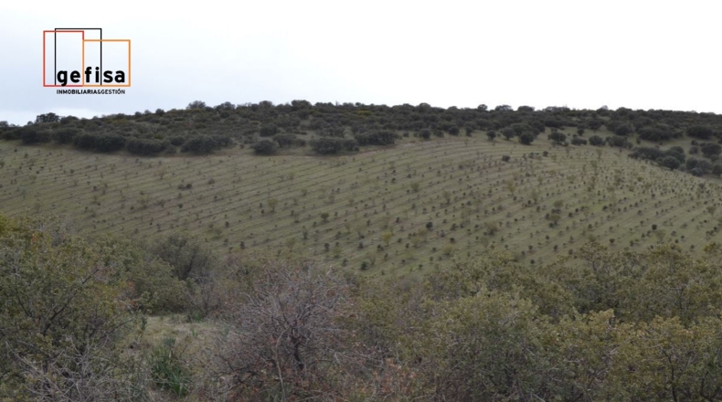 Ciudad Real - Valdepeñas - 500000m2