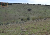 Rural estate for sale in Valdepeñas ref: TR62886 photo